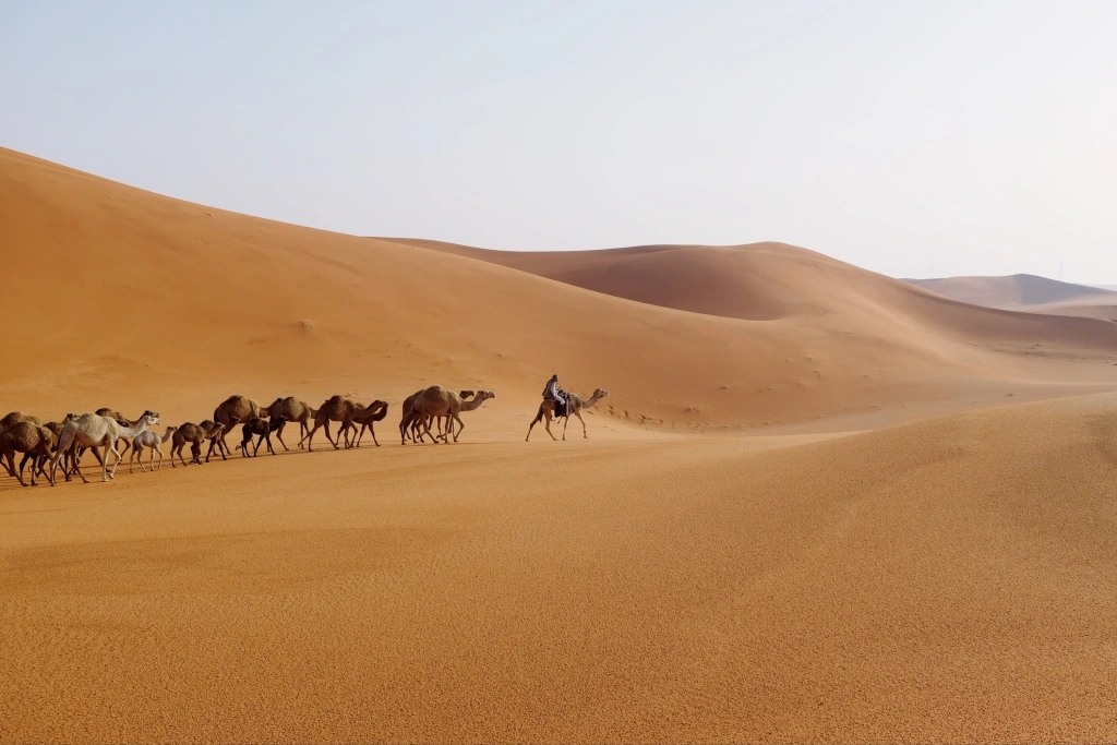 Modern medical equipment